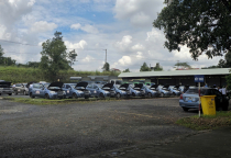 khóa học hạng b1