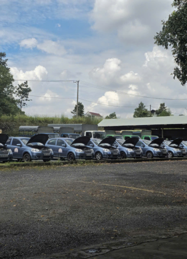 khóa học hạng b1